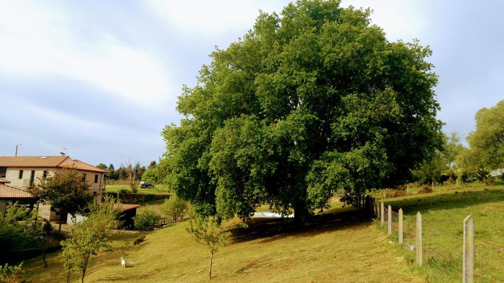 Caserio De Fontes Nogueira De Ramuin Zewnętrze zdjęcie